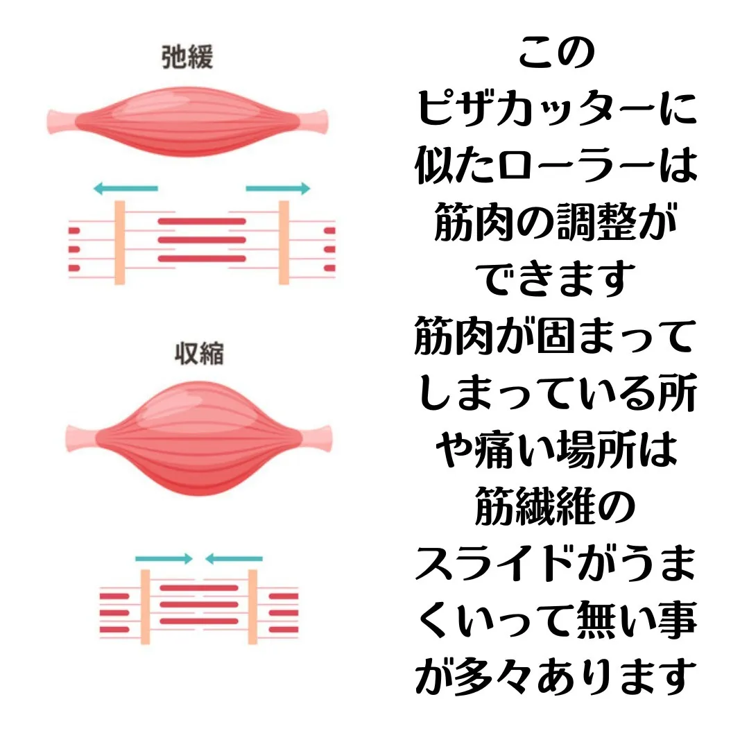 こんにちは！